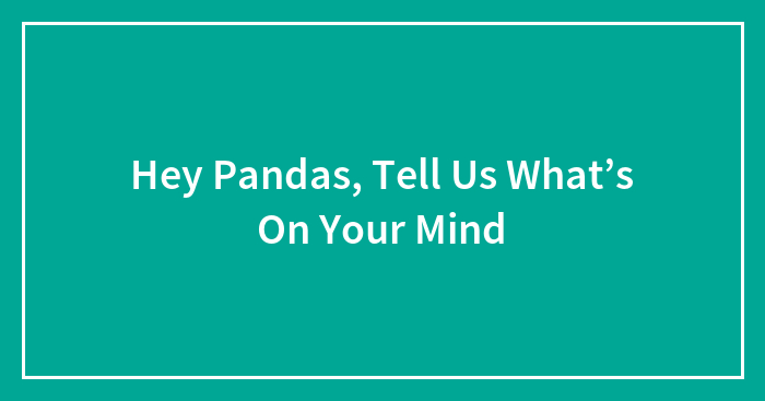 Hey Pandas, Tell Us What’s On Your Mind