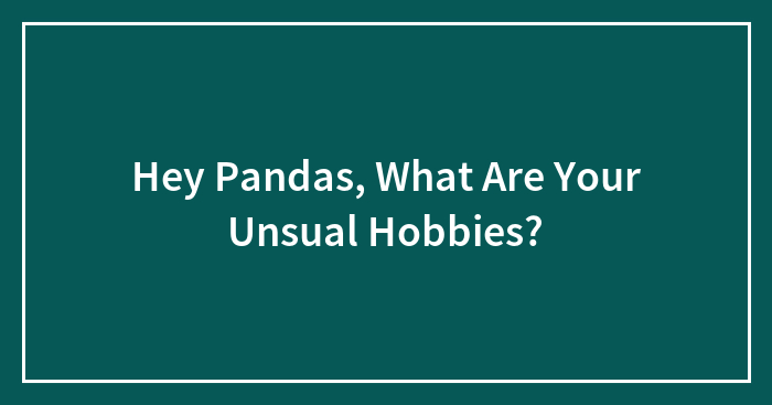 Hey Pandas, What Are Your Unsual Hobbies? (Closed)