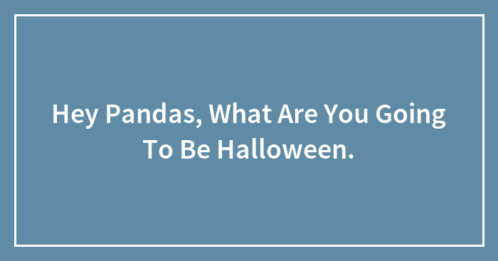 Hey Pandas, What Are You Going To Be Halloween.
