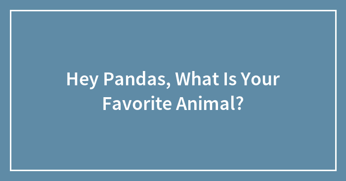 Hey Pandas, What Is Your Favorite Animal?