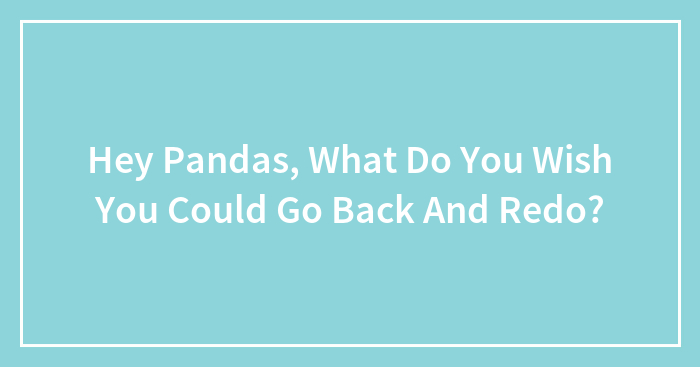 Hey Pandas, What Do You Wish You Could Go Back And Redo? (Closed)