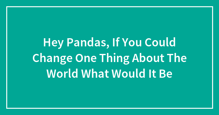 Hey Pandas, If You Could Change One Thing About The World What Would It Be