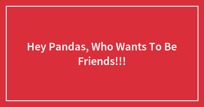 Hey Pandas, Who Wants To Be Friends!!!