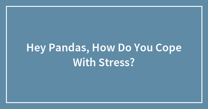 Hey Pandas, How Do You Cope With Stress? (Closed)