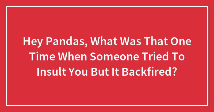 Hey Pandas, What Was That One Time When Someone Tried To Insult You But It Backfired? (Closed)