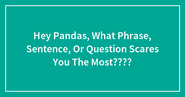 Hey Pandas, What Phrase, Sentence, Or Question Scares You The Most????