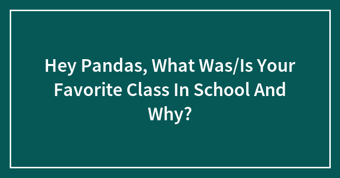Hey Pandas, What Was/Is Your Favorite Class In School And Why?
