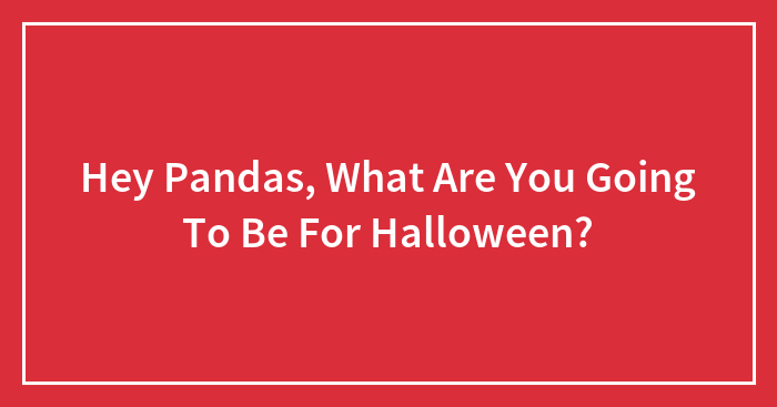Hey Pandas, What Are You Going To Be For Halloween?