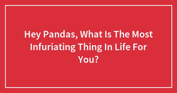 Hey Pandas, What Is The Most Infuriating Thing In Life For You? (Closed)