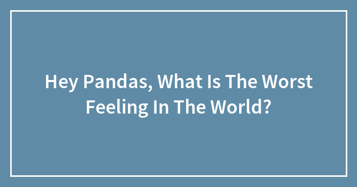 Hey Pandas, What Is The Worst Feeling In The World?