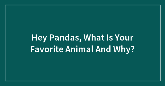 Hey Pandas, What Is Your Favorite Animal And Why?
