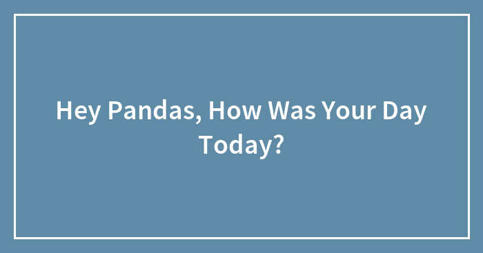 Hey Pandas, How Was Your Day Today?