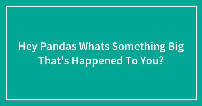 Hey Pandas Whats Something Big That’s Happened To You?