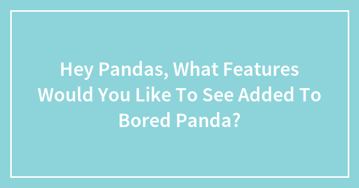 Hey Pandas, What Features Would You Like To See Added To Bored Panda?