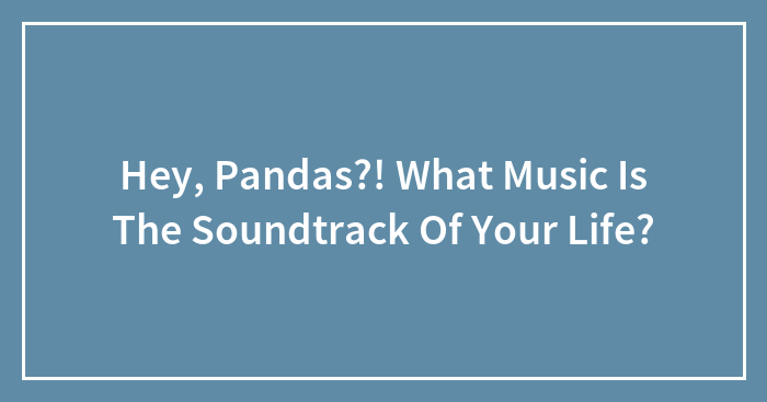 Hey, Pandas?! What Music Is The Soundtrack Of Your Life?