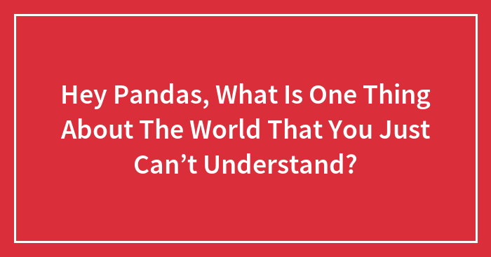 Hey Pandas, What Is One Thing About The World That You Just Can’t Understand? (Closed)