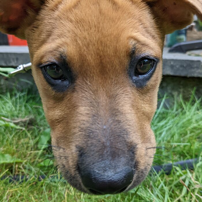 Hey Pandas, Post Your Funniest Photo Fails (Closed)