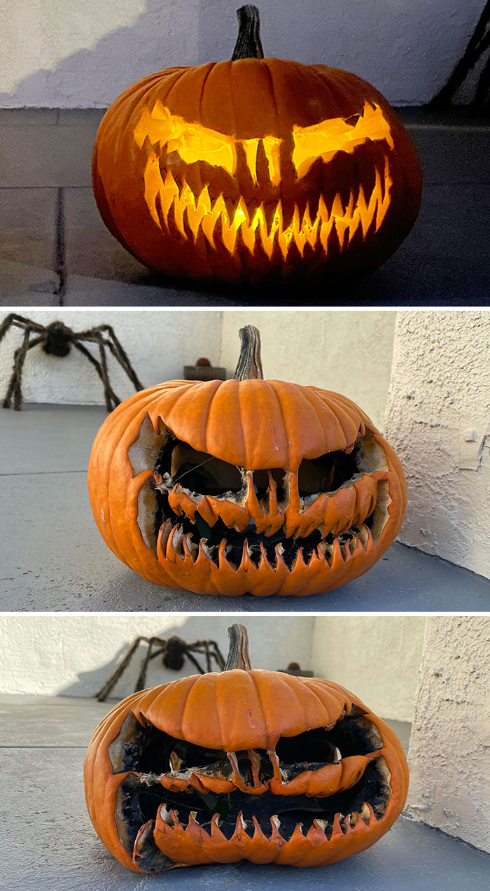 My Pumpkin's Deteriorating Nicely