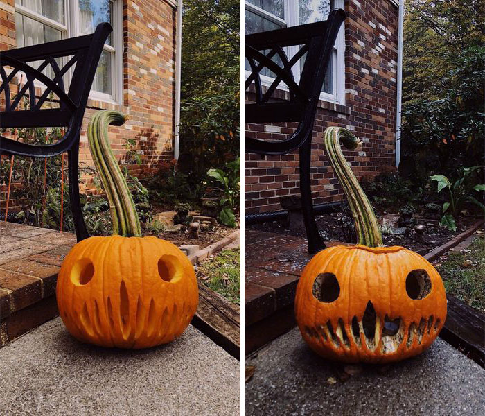 A Look Back At The Life And Times Of Beloved Mr. Long Stem, RIP