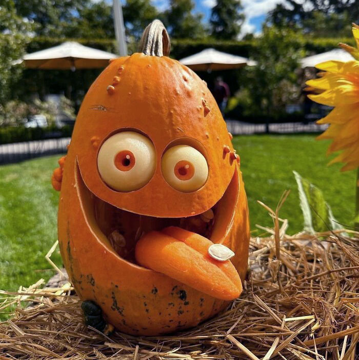 What Came First? The Pumpkin Or The Seed?