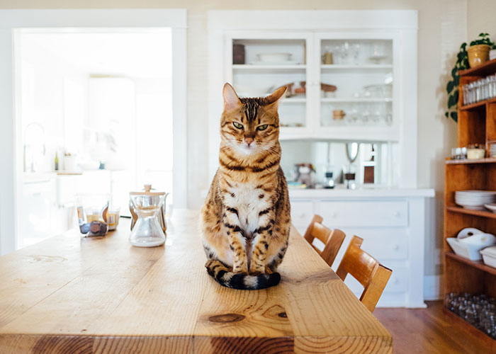 30 Times Kids Nonchalantly Said Incredibly Creepy Things