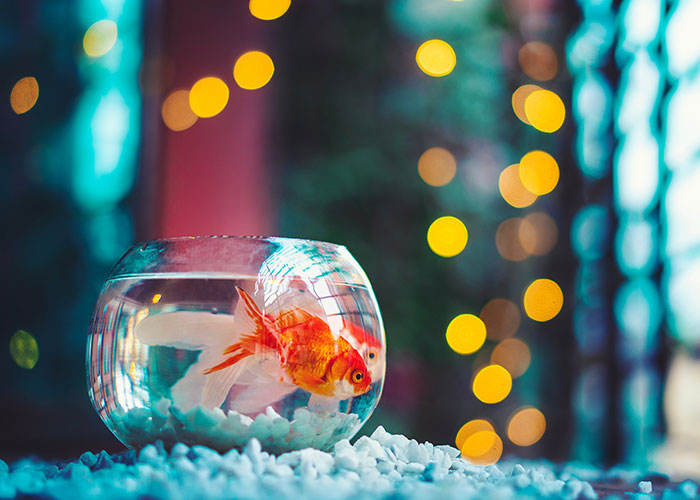 30 Times Kids Nonchalantly Said Incredibly Creepy Things