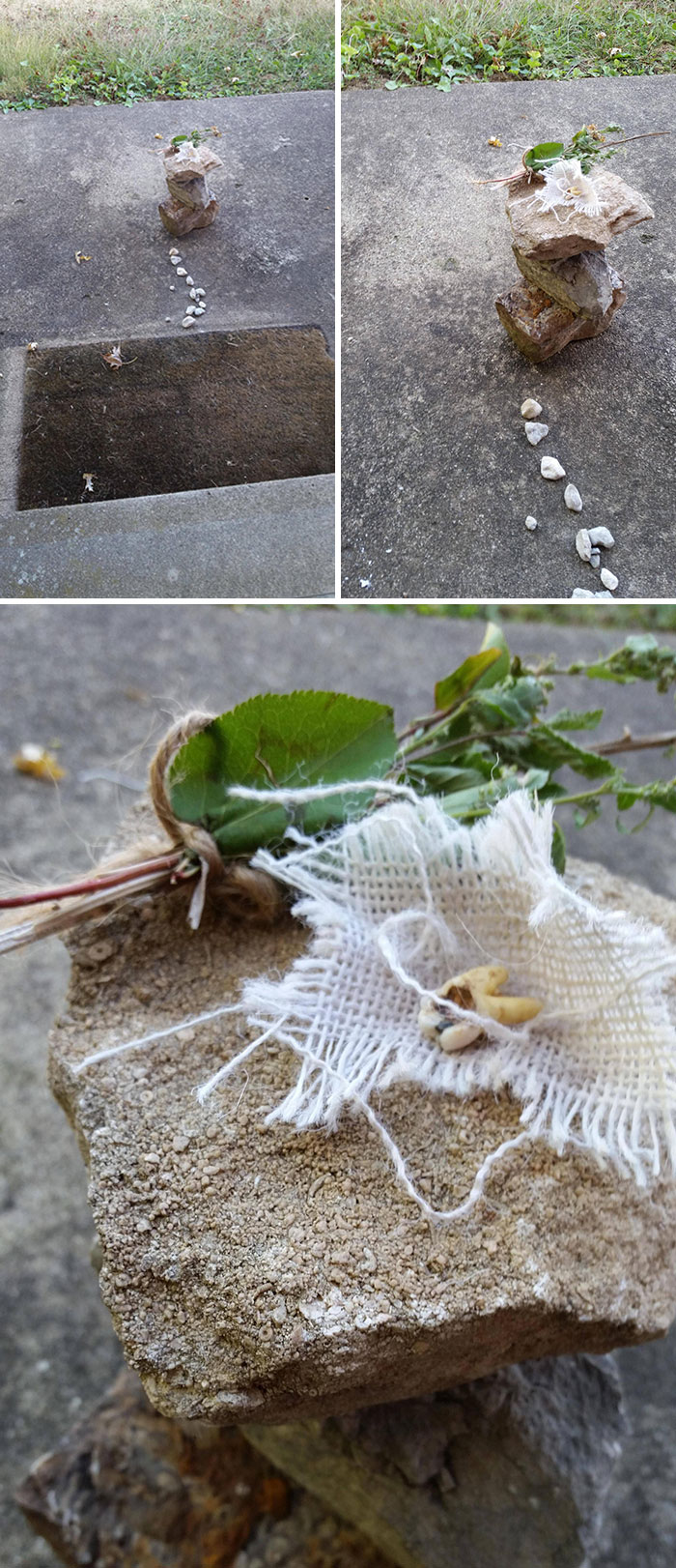 Encontramos esto en nuestro porche delantero después de la segunda noche en nuestra nueva casa. Sí, es un diente humano