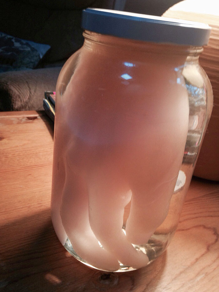 We Rented A Cabin Out In The Woods, This Was The Centerpiece On The Coffee Table