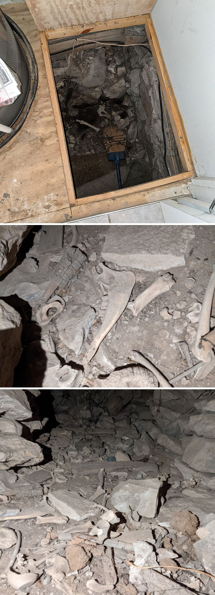 ¿Por qué hay huesos en mi sótano?