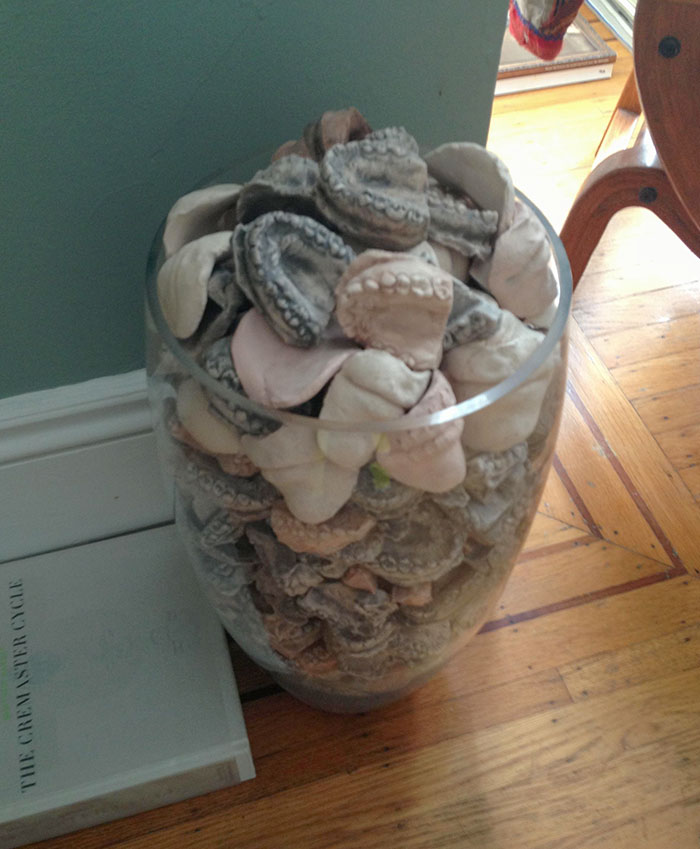 I Saw This While Staying At An Airbnb In San Francisco