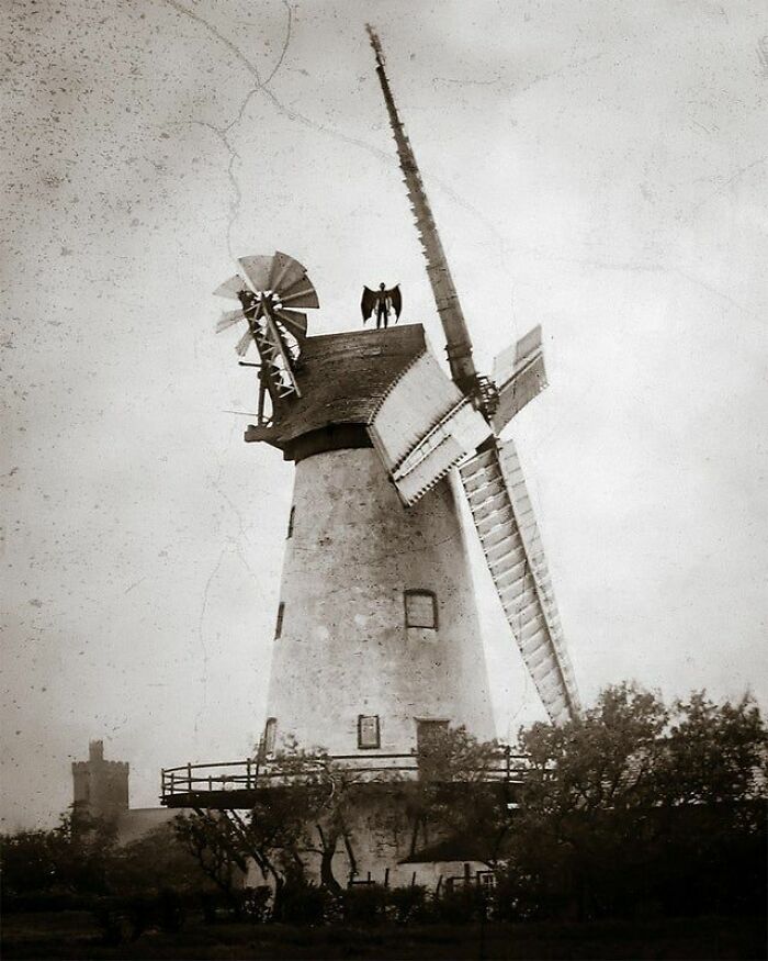 Cursed-Images-Twitter