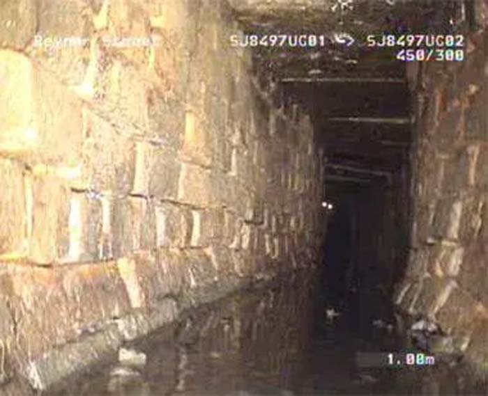 Cursed-Images-Twitter