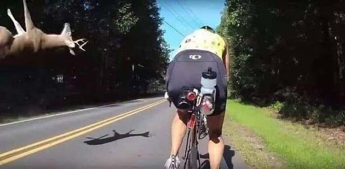 Cursed-Images-Twitter