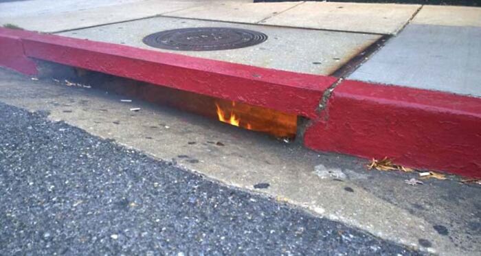 Cursed-Images-Twitter