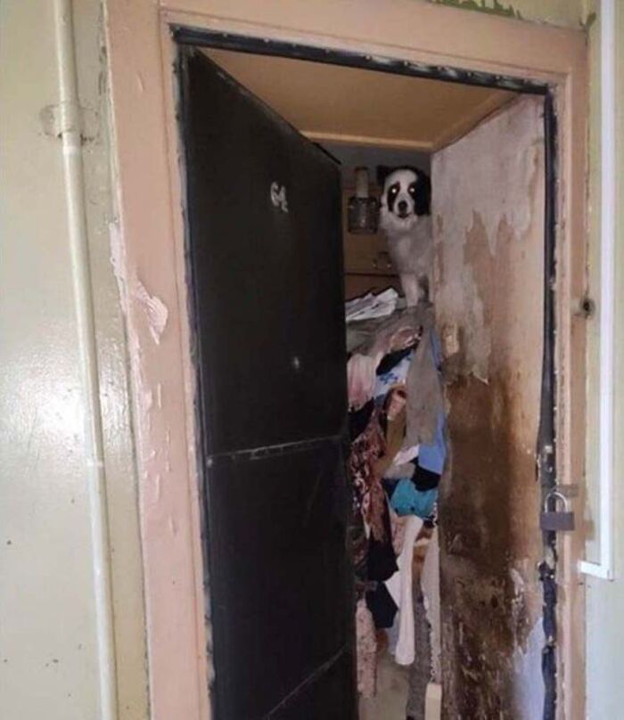 Cursed-Images-Twitter