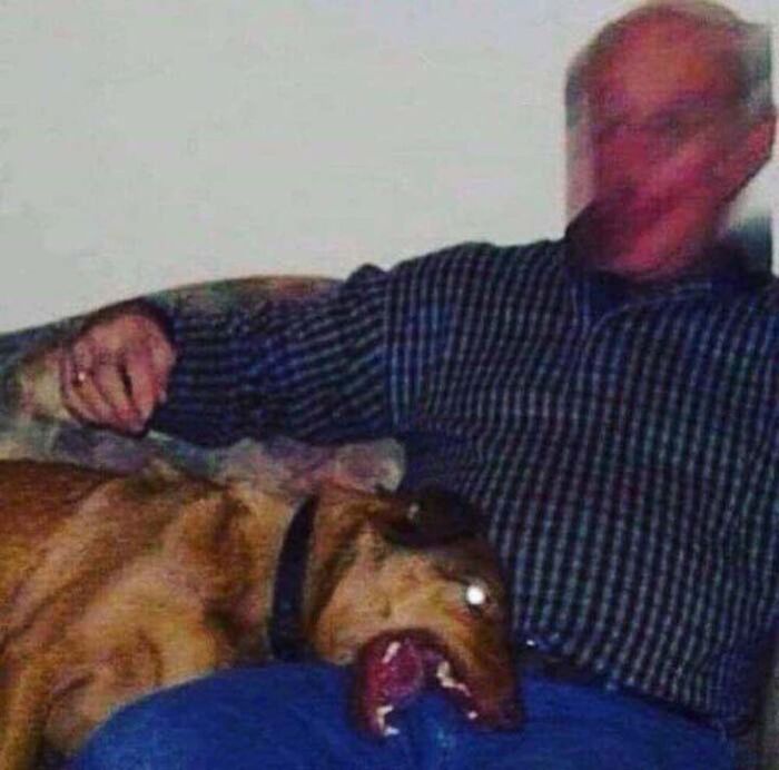 Cursed-Images-Twitter