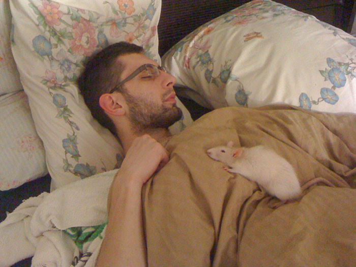 Willow, My Pet Rat, Only Has A Few Days Left. I Won't Deny Her This Privilege