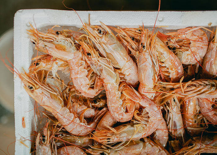 People Share “Dark Stuff Going On Around The World" The General Public Is Likely Not Aware Of, And Here Are 30 Of The Most Eye-Opening Answers