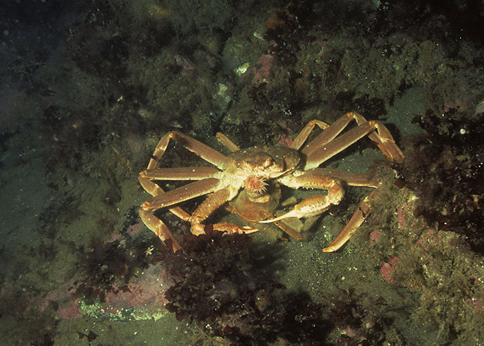 30 Eventos desagradables que están teniendo lugar en el mundo en estos momentos y quizá desconozcas