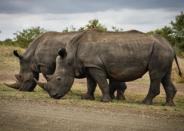 30 Eventos desagradables que están teniendo lugar en el mundo en estos momentos y quizá desconozcas