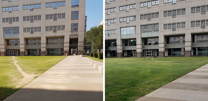 This Desire Path Has Slowly Disappeared Now That No One Is Coming To The Office Due To Covid... Wonder How Many Others Are Disappearing