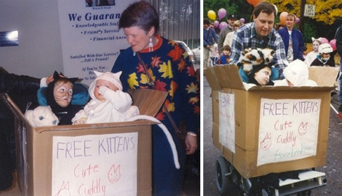 Coolest Homemade Box Of Free Kittens Wheelchair Costume