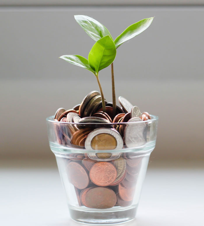 As Of 2019, Disney Has A Revenue Of $69.570 Billion Dollars