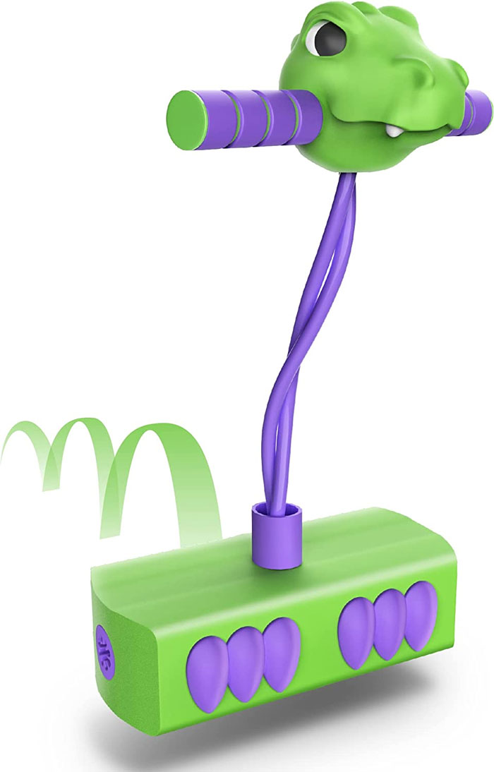 You Are Not Allowed To Bring Pogo Sticks And Some Others Items Inside Disneyland