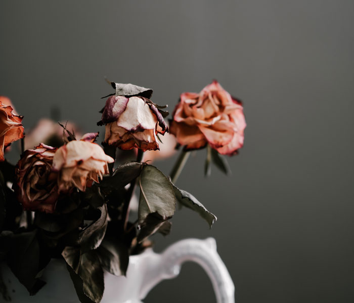 Several Families Annually Want To Spread The Ashes Of Their Loved Ones On The Haunted Mansion Attraction At Disneyland