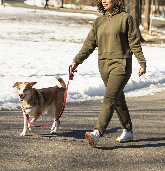 Dog-Sitter Does 'Insane Amount' Of Laundry At Client's Home Without Realizing The Owner Gets Notified Each Time It's Done Dog-Sitter Does 'Insane Amount' Of Laundry At Client's Home Without Realizing The Owner Gets Notified Each Time It's Done