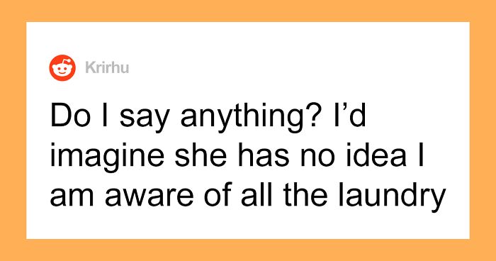 Dog-Sitter Does ‘Insane Amount’ Of Laundry At Client’s Home Without Realizing The Owner Gets Notified Each Time It’s Done