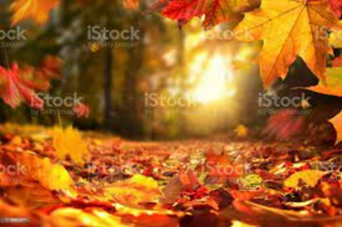 Llook At How Goood Tis Is