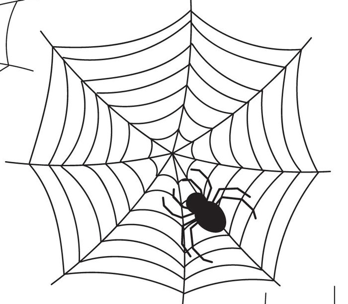 Spider on a web, inspiration for drawing prompts when you lack ideas.