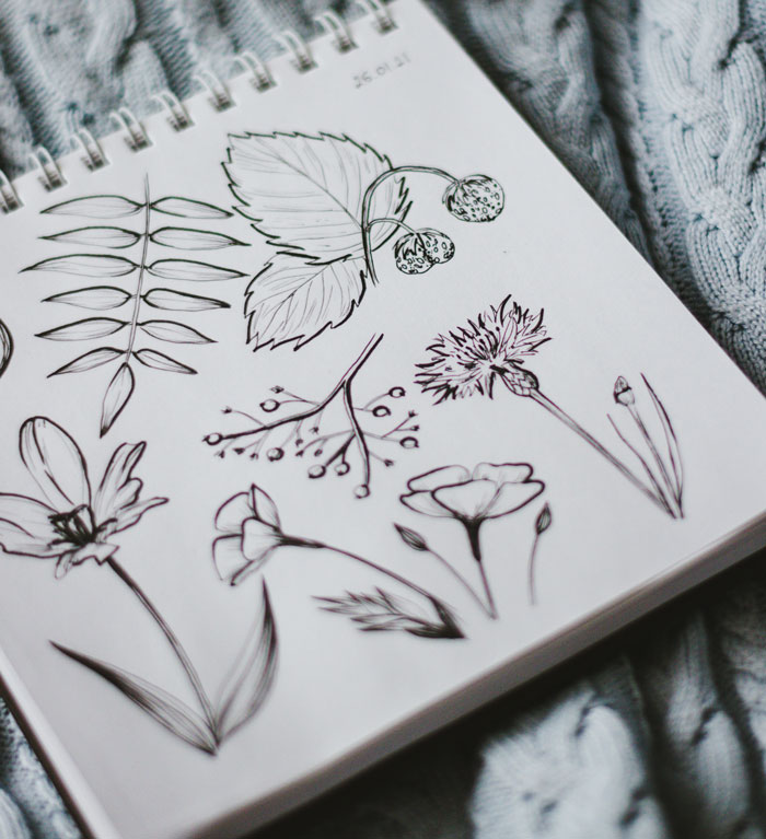 Sketchbook filled with nature-themed drawing prompts featuring leaves and flowers.